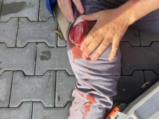 381200317 1346802472593408 4300173165043901956 N.jpg