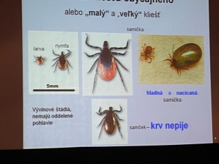 Noc Vyskumnikov KE 04.jpeg