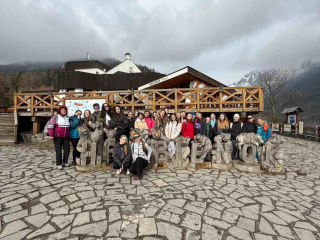 Picture1
