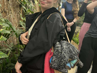 Received 1779015429693590