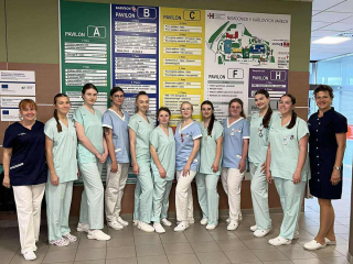 Received 1981553919317688